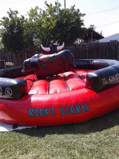 Party Mechanical Bull Rental